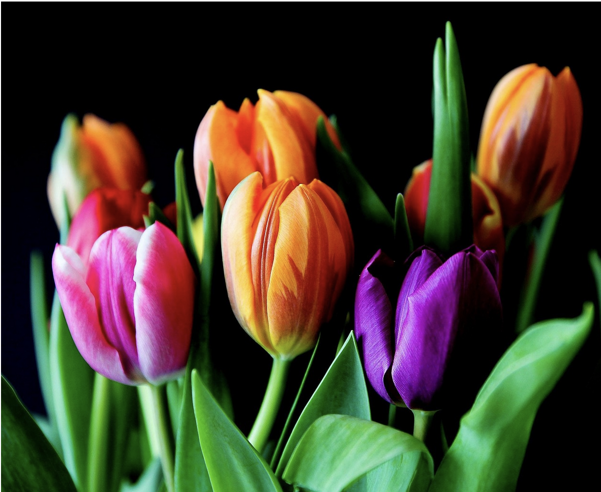 Обнажённая красота – почему букеты без упаковки стали главным трендом