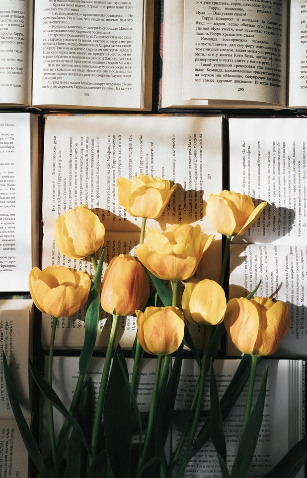 Главные ошибки при выборе цветов и как их избежать