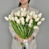 Белоснежные тюльпаны, 51шт