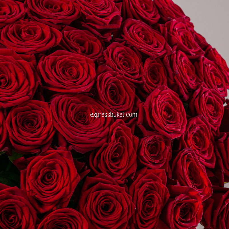 Букет из 51 розы 70 см